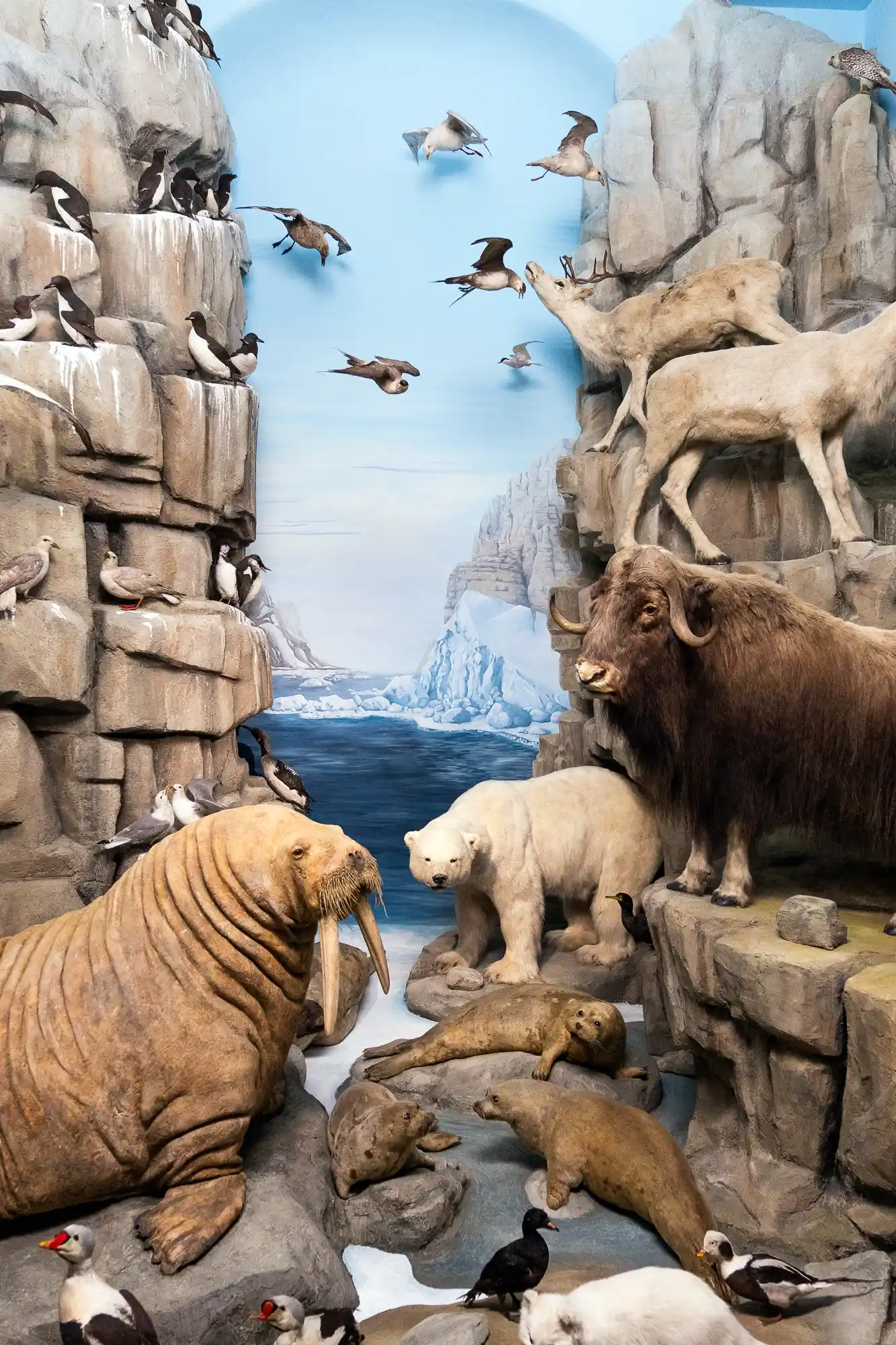 North Pole Diorama