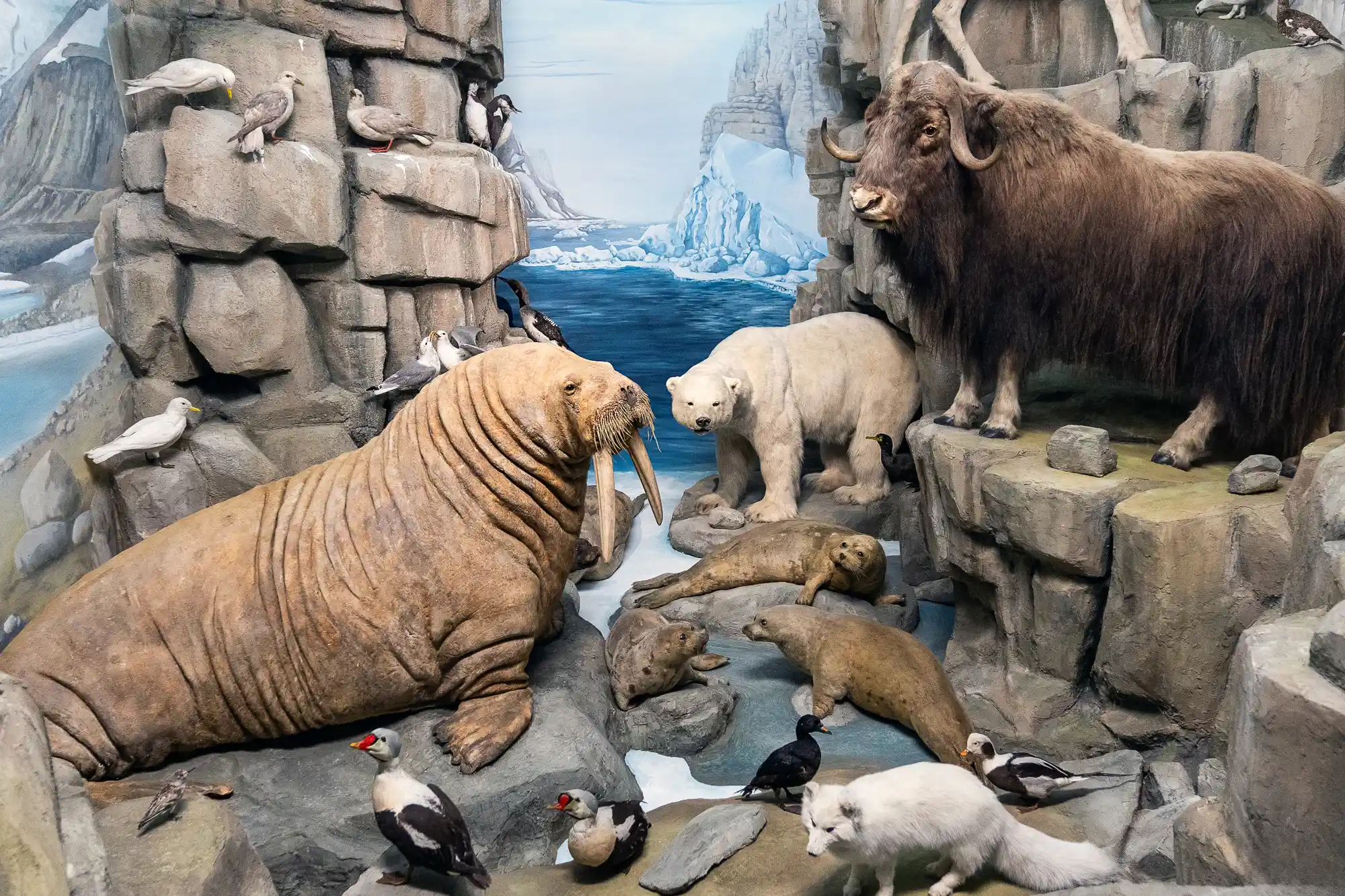 North Pole Diorama animals