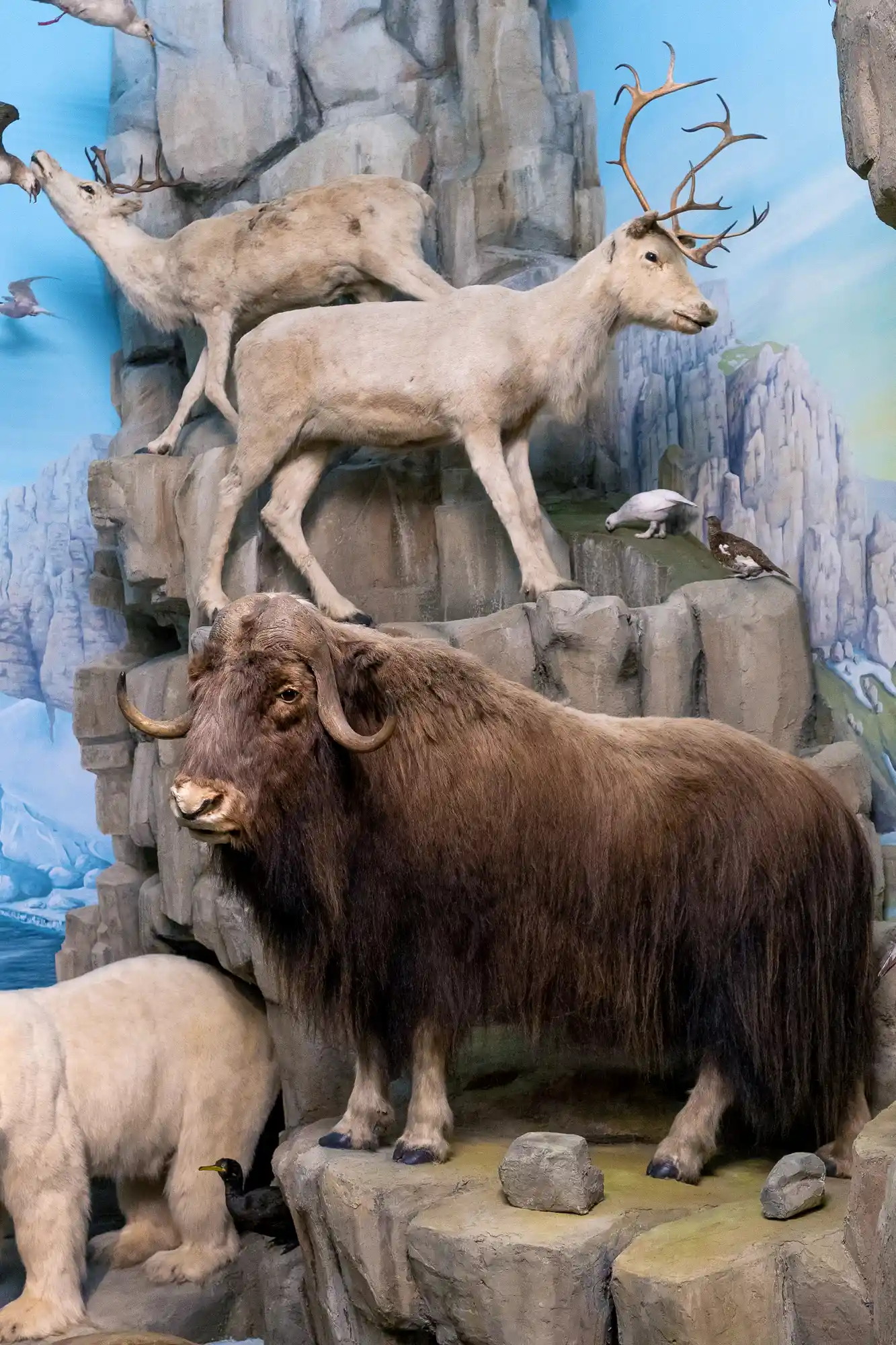 Horned Diorama