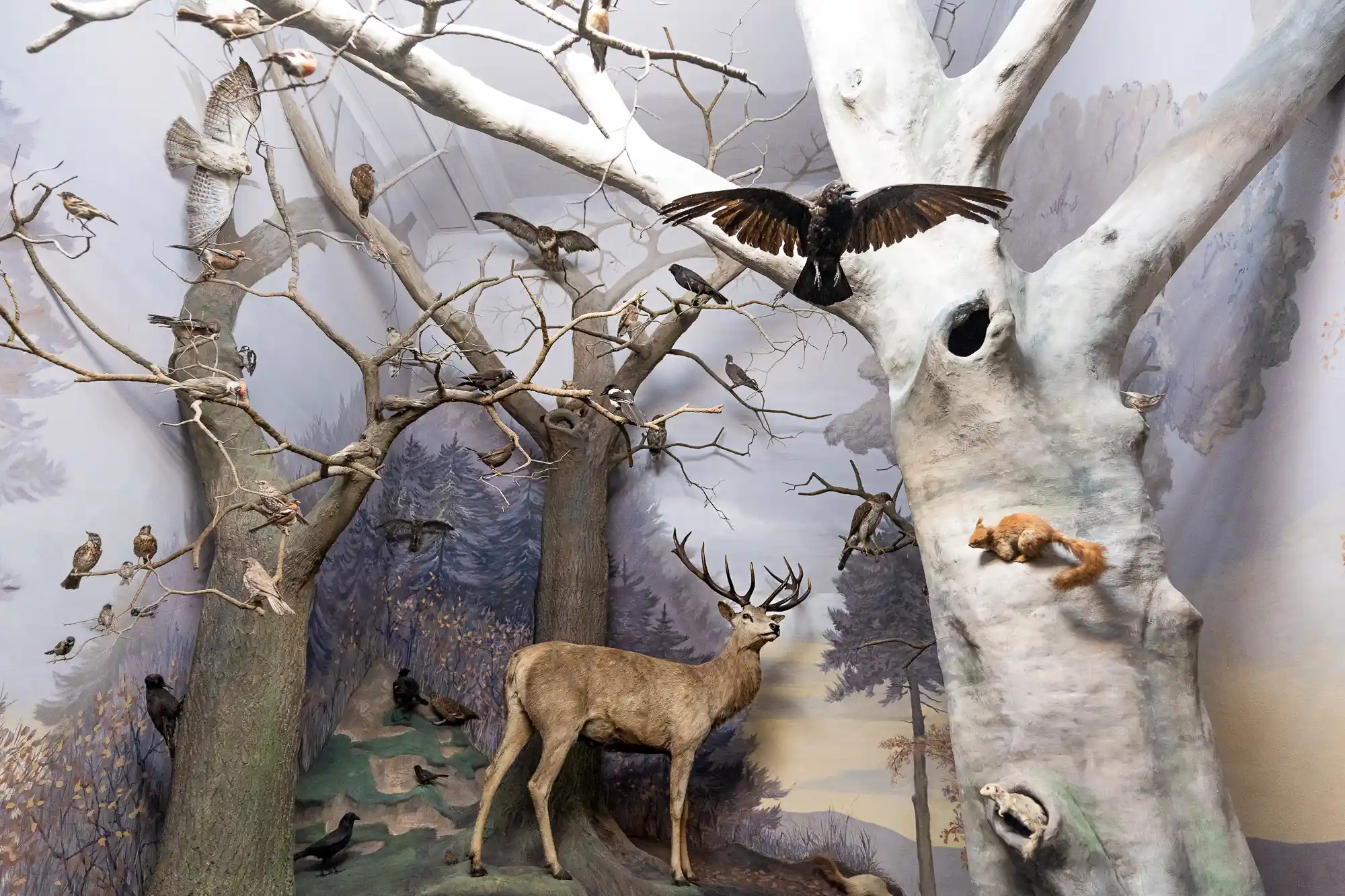 Museum Forest Scene