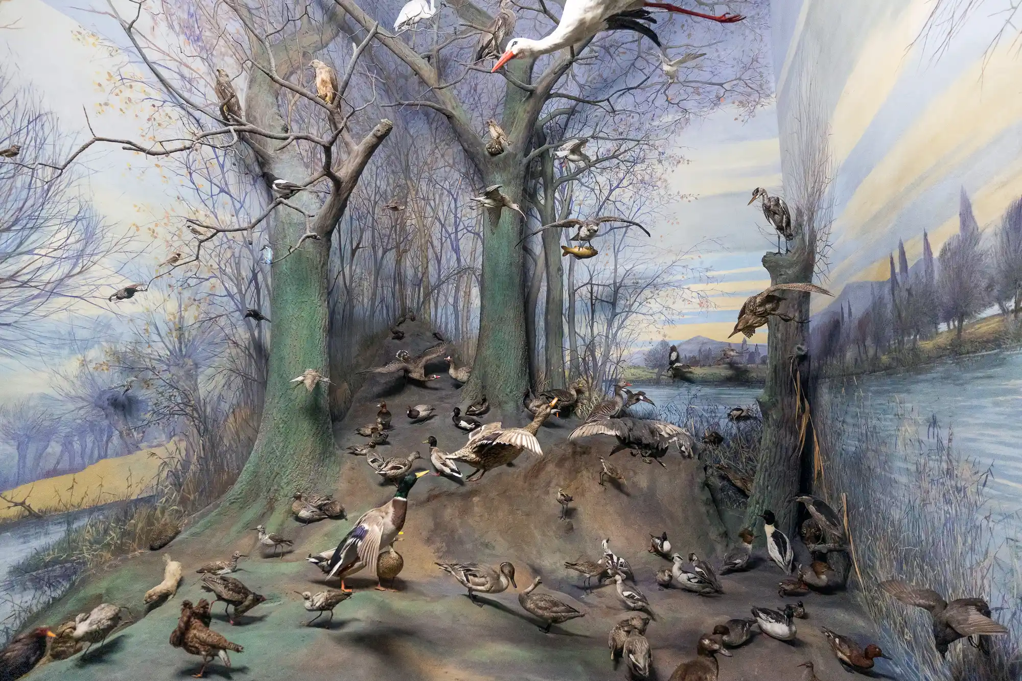 Lake scene Diorama