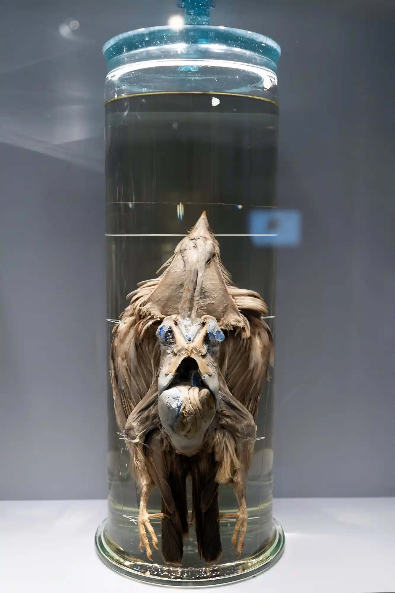 Monster in a glass