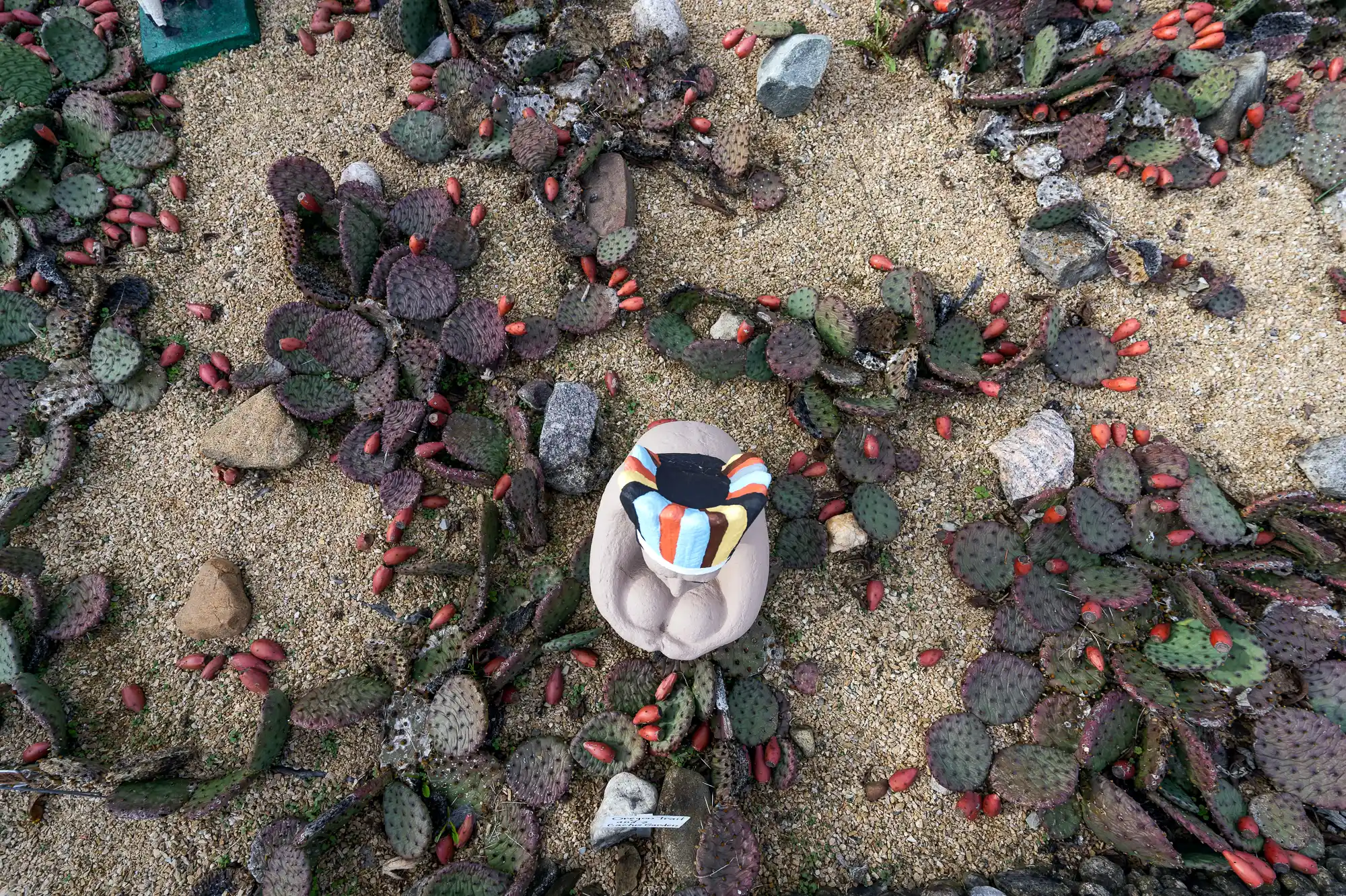 Cactus Garden in Springfield, Ohio