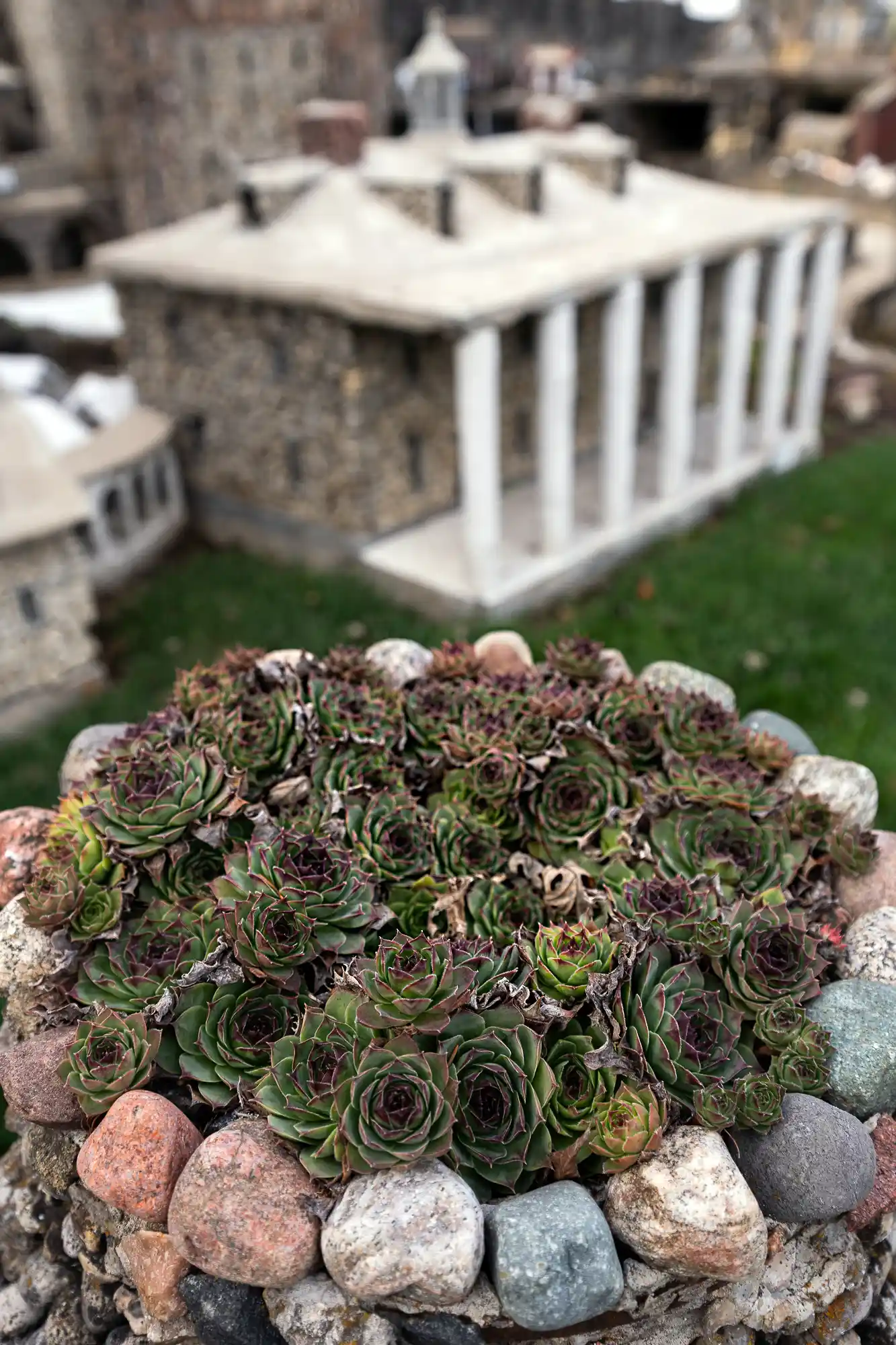 Planter pots in Springfield