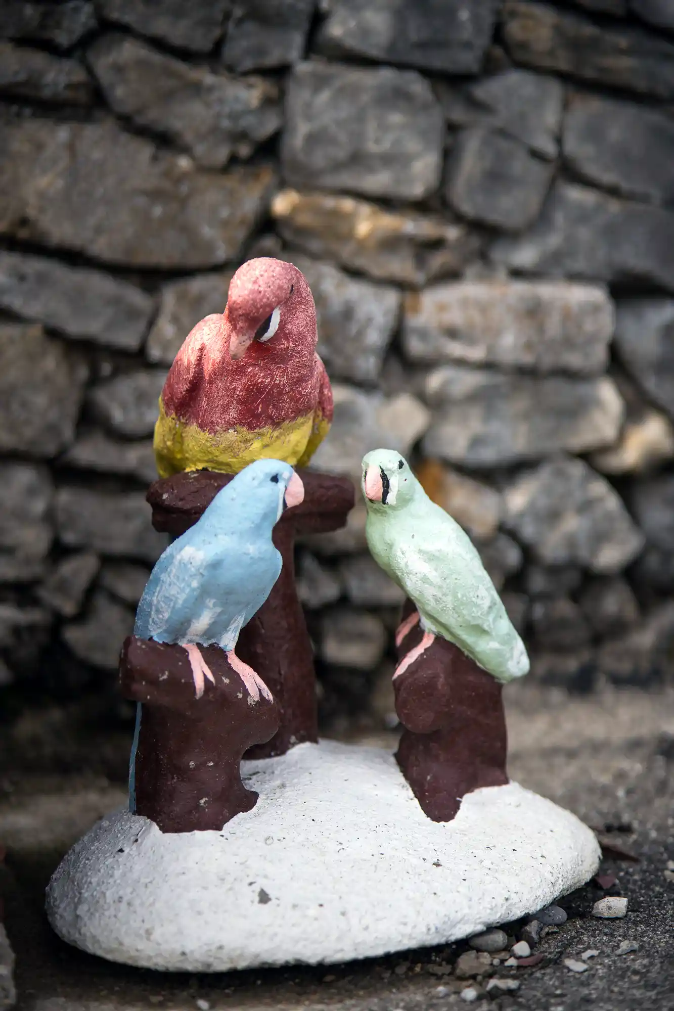 Birds at the Rock Garden