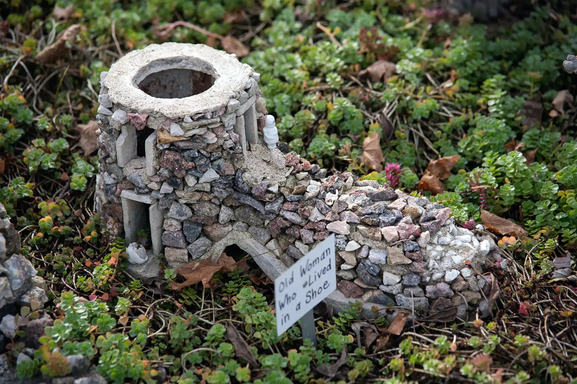 The Old Woman living in rock shoe