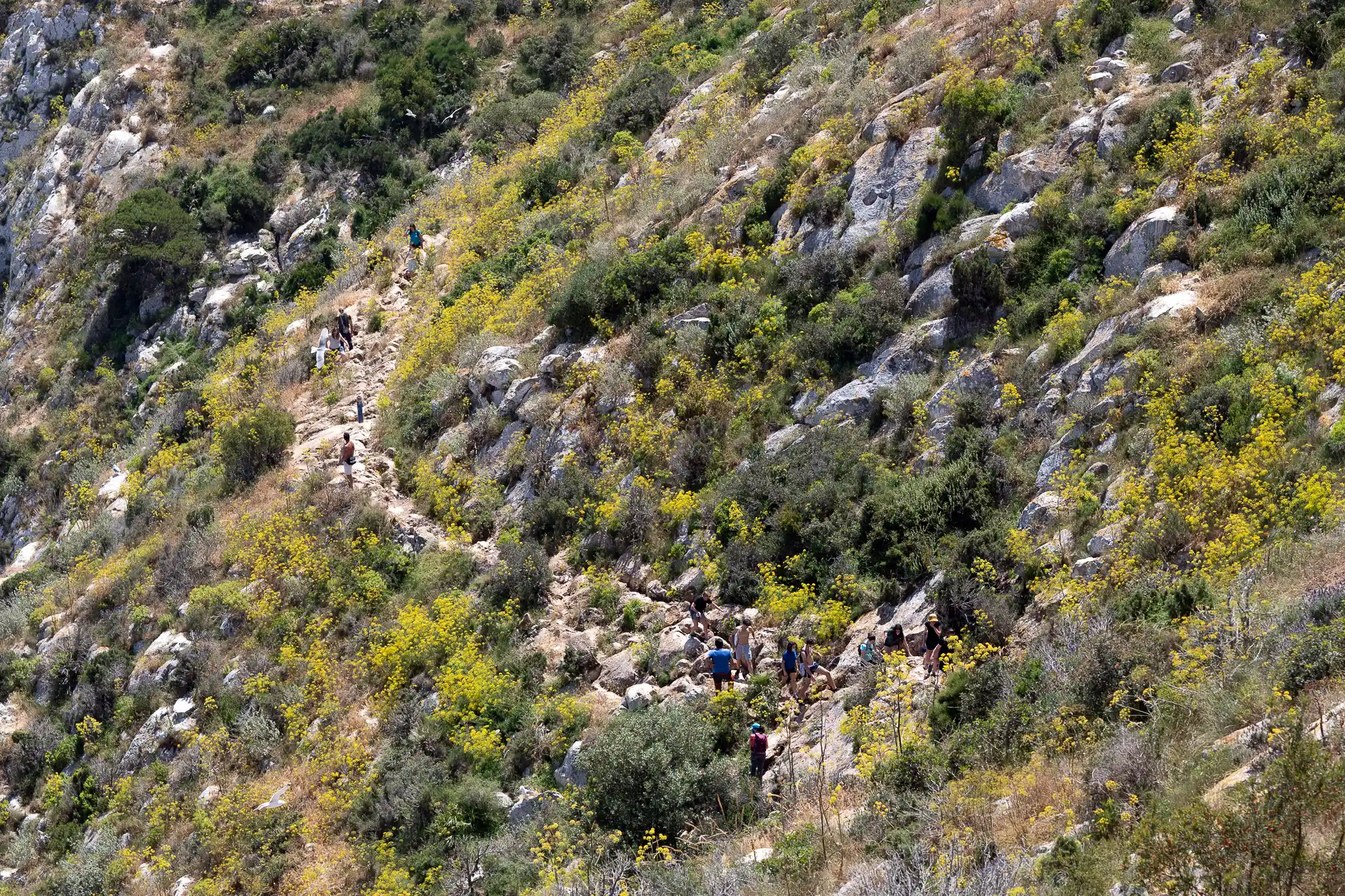Narrow Hiking path