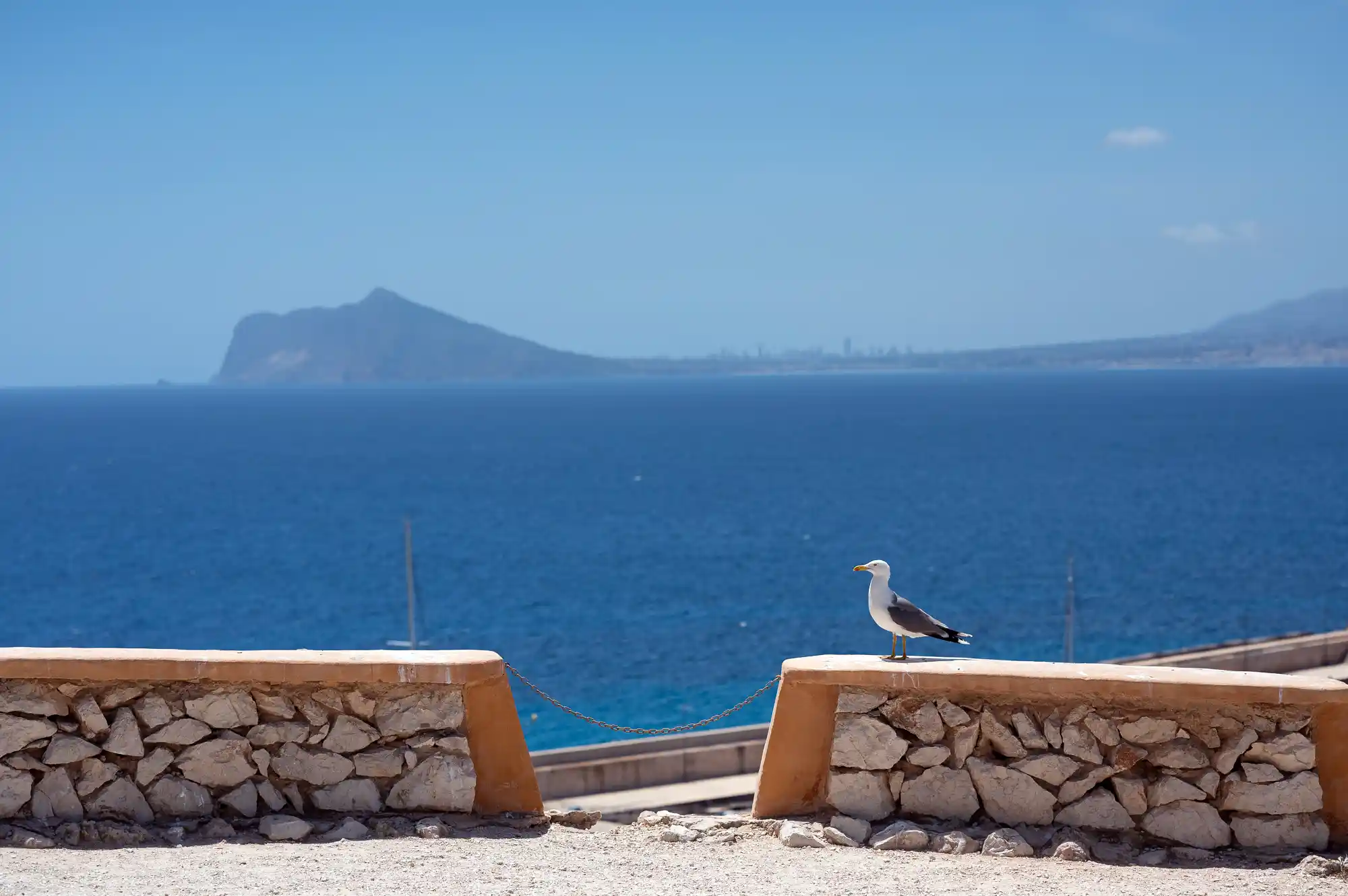 Benidorm in the distance