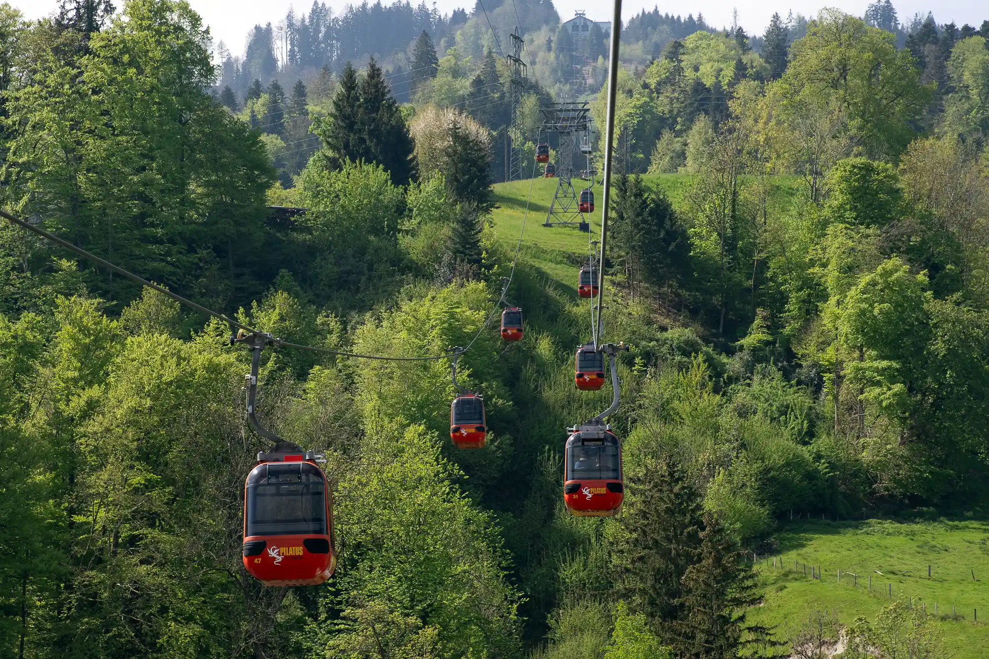 Forrest Gondola