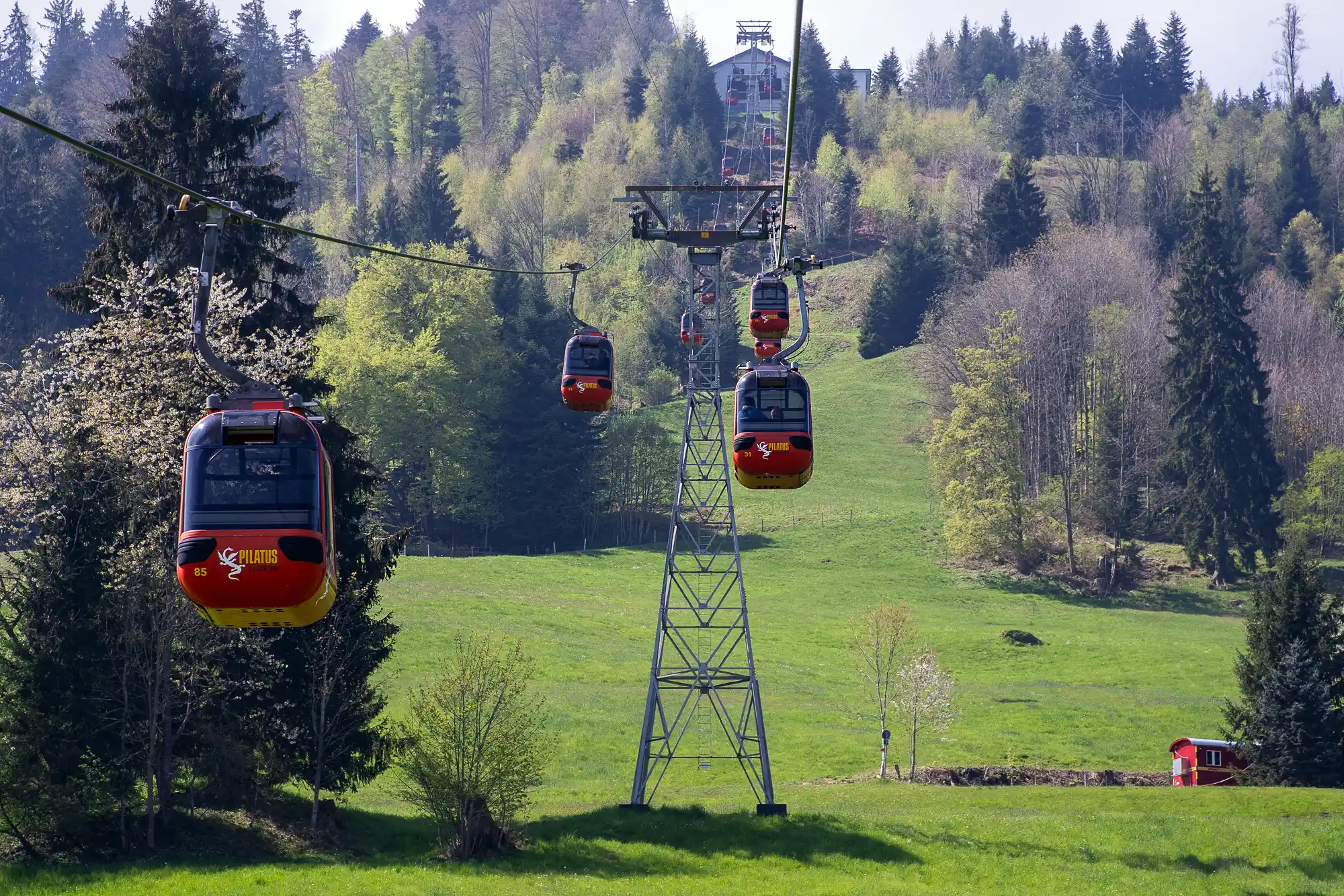 Nature Gondola