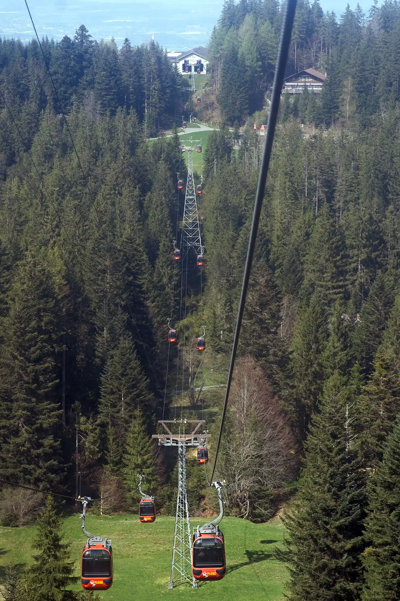 Forest Gondola in Switzerland