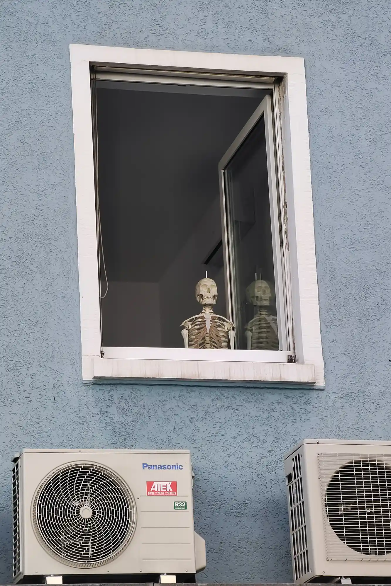 Skeleton in Window