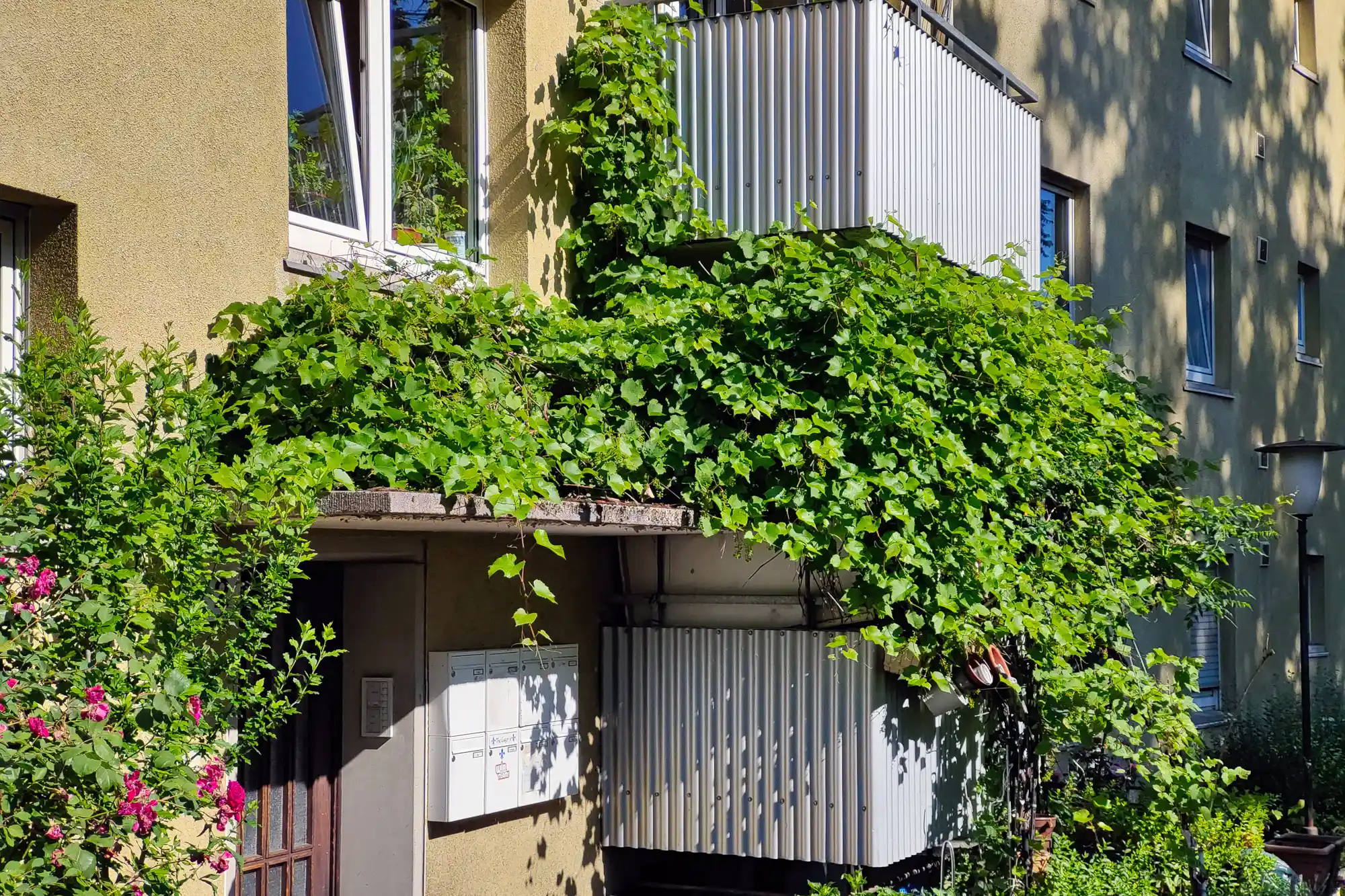 Green Social Housing in Germany