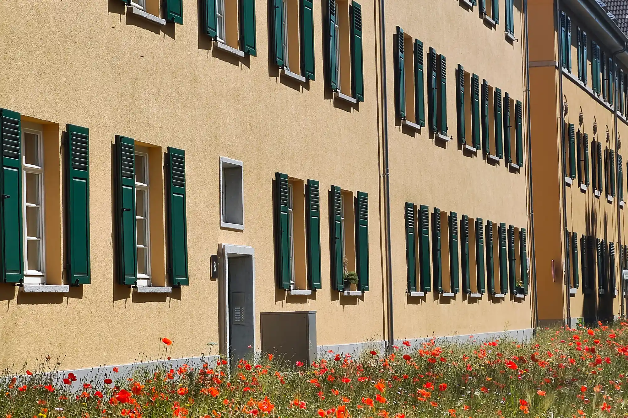 A tan building with green shutters and bright red flowers below in Darmstadt, strong sunlight casting sharp shadows.