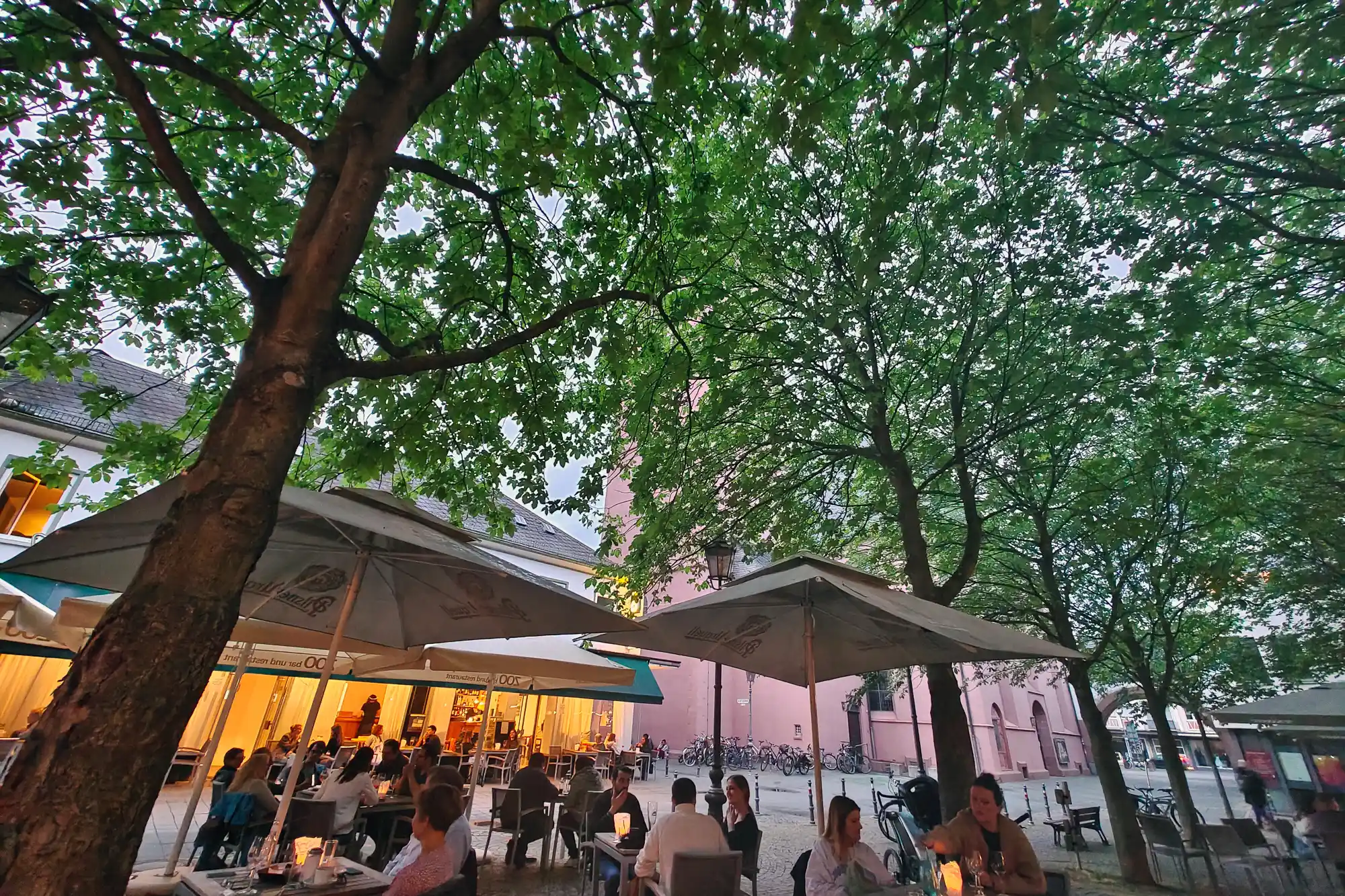 People sitting under white umbrellas beneath green trees on a summer evening in Darmstadt, with warm light glowing from a building.