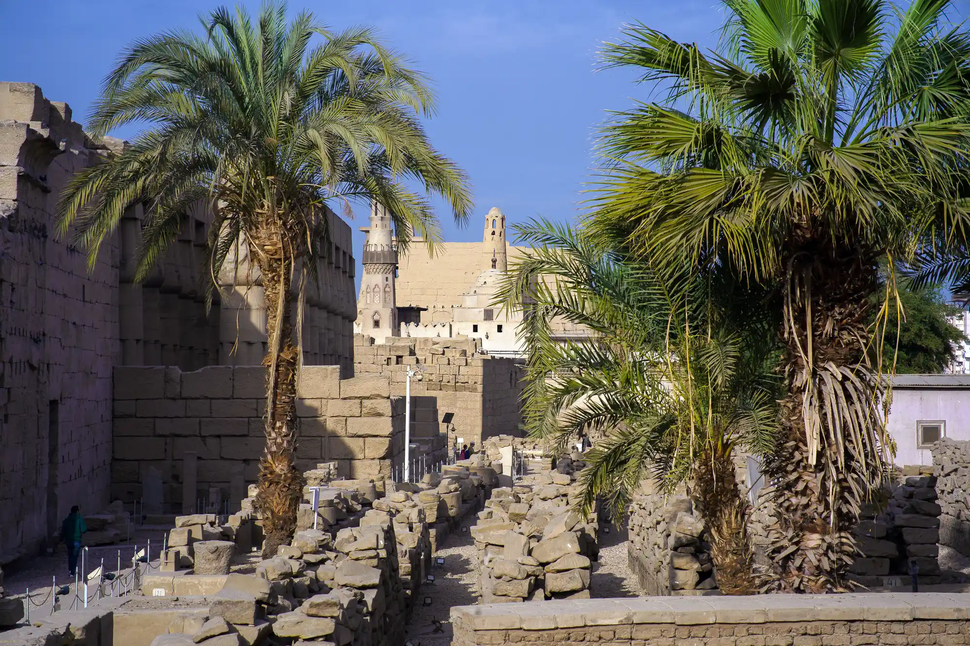 Palm and temple