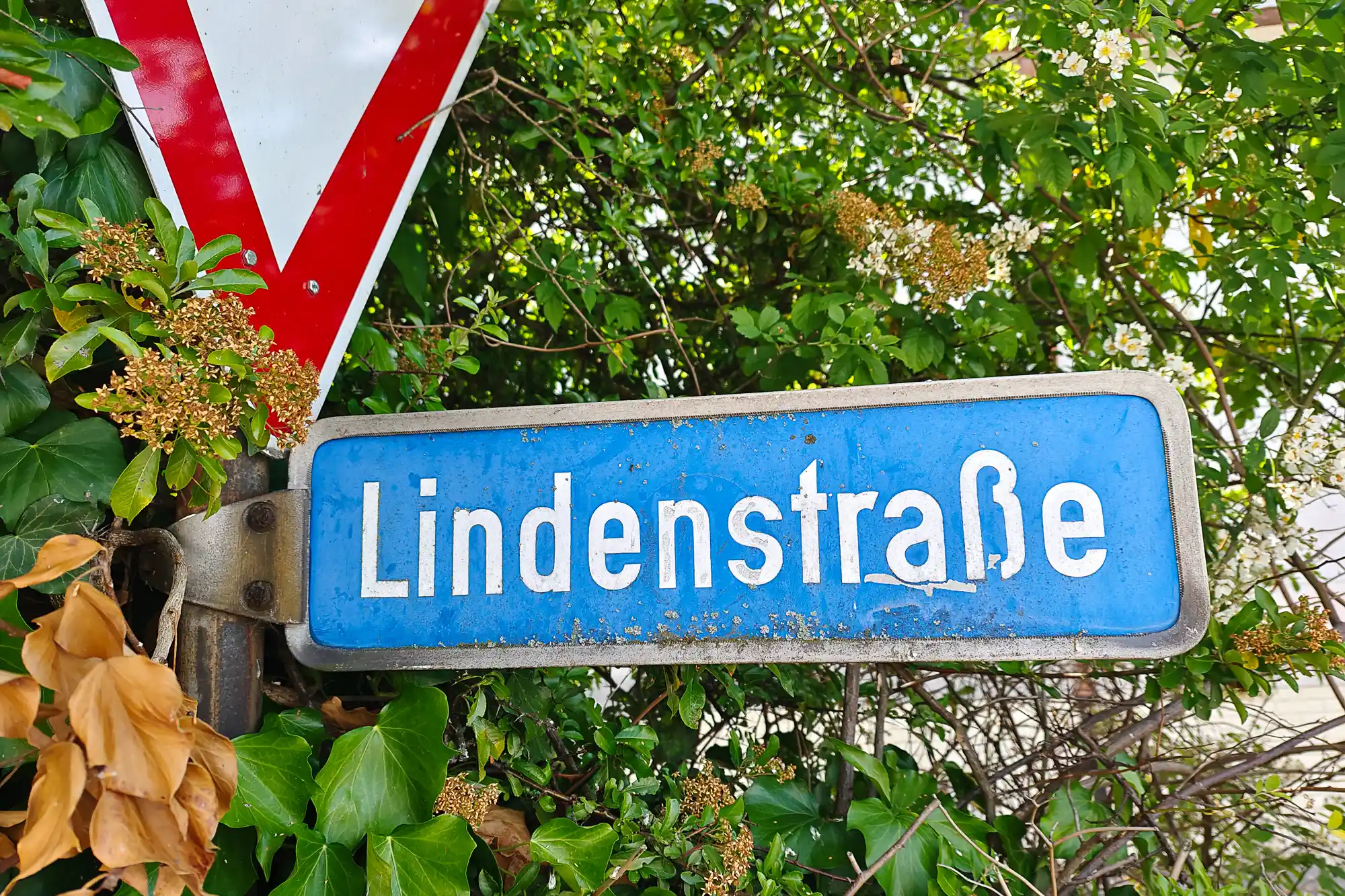 Lindenstraße Traisa