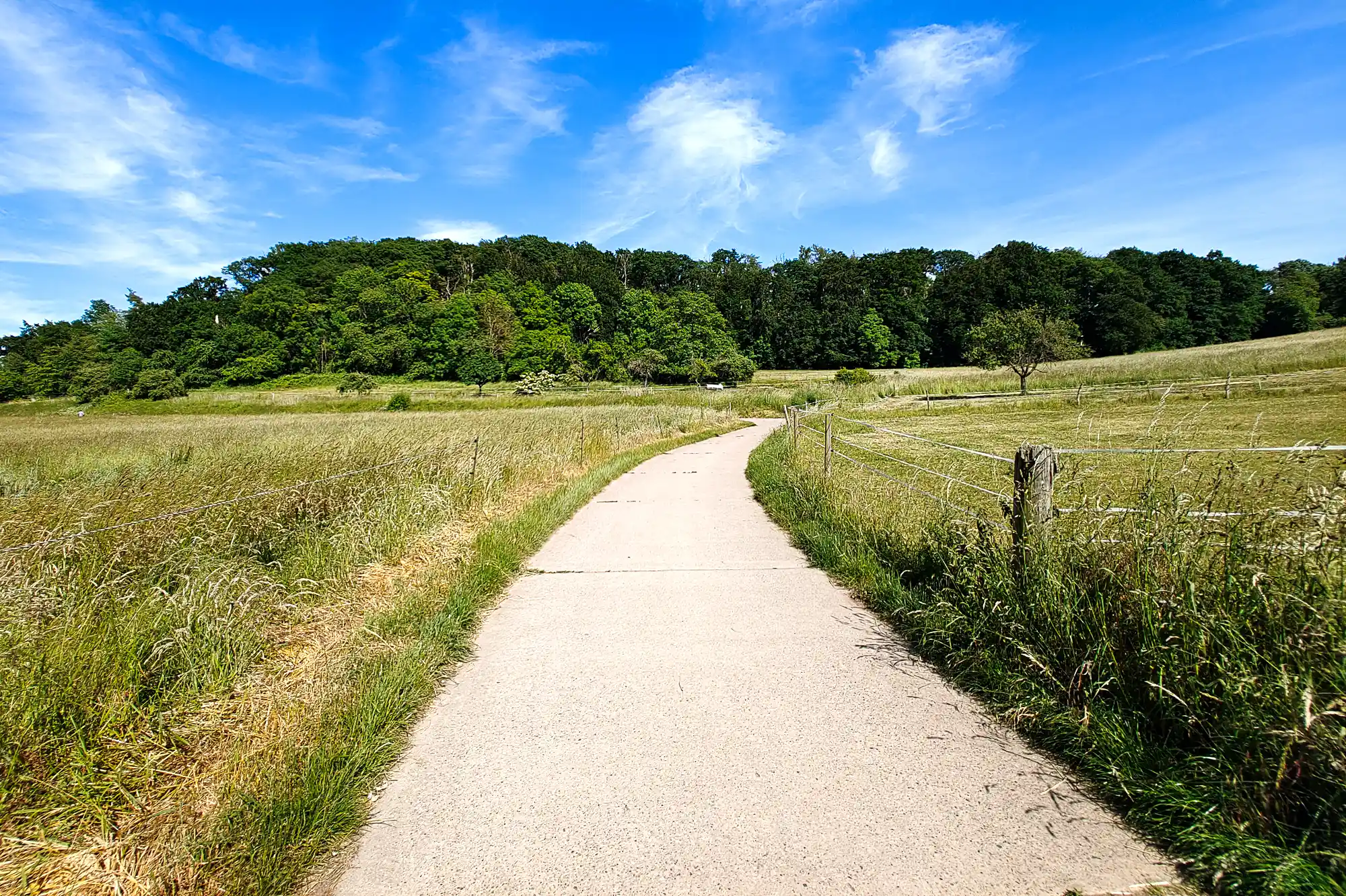 A light concrete path curves through green grass on the edge of Traisa, under a bright blue sky with wispy clouds.