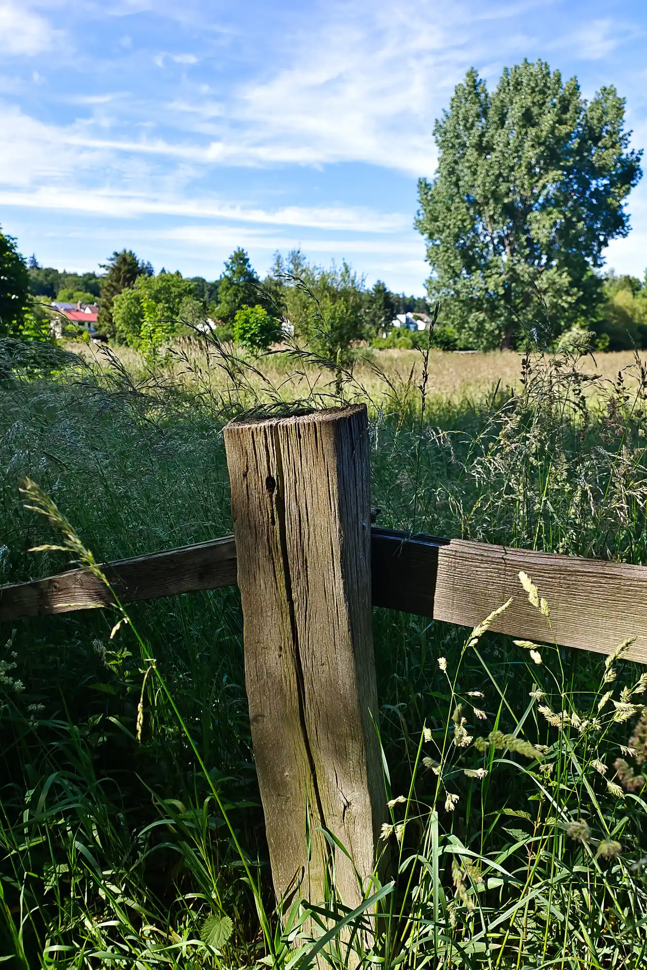 A cracked wooden post in tall green grass on the outskirts of Traisa, under a blue sky with wispy clouds.