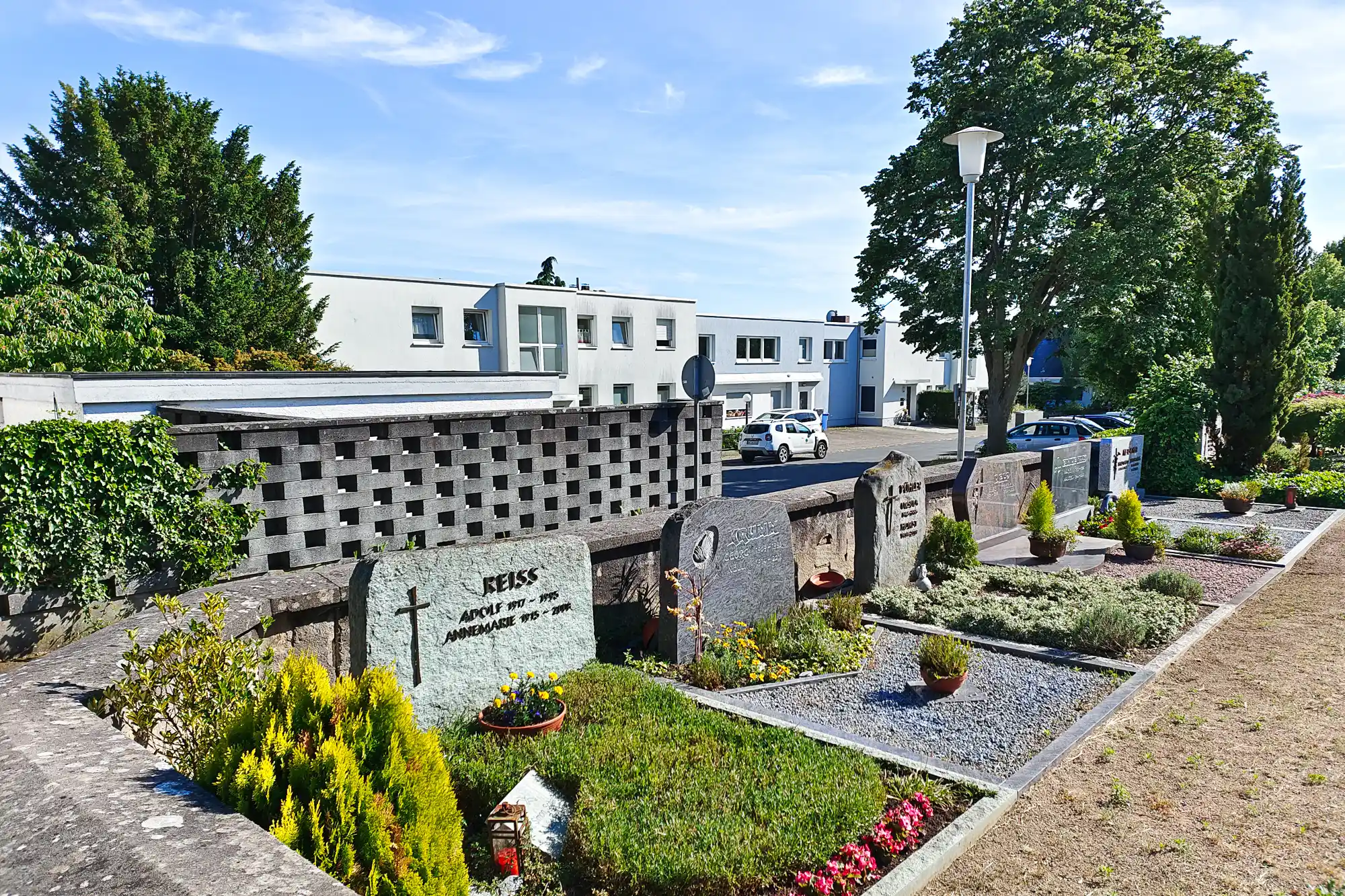 A row of stone markers with yellow-green shrubs and bright flowers in Traisa, beside grey gravel and a lattice wall.