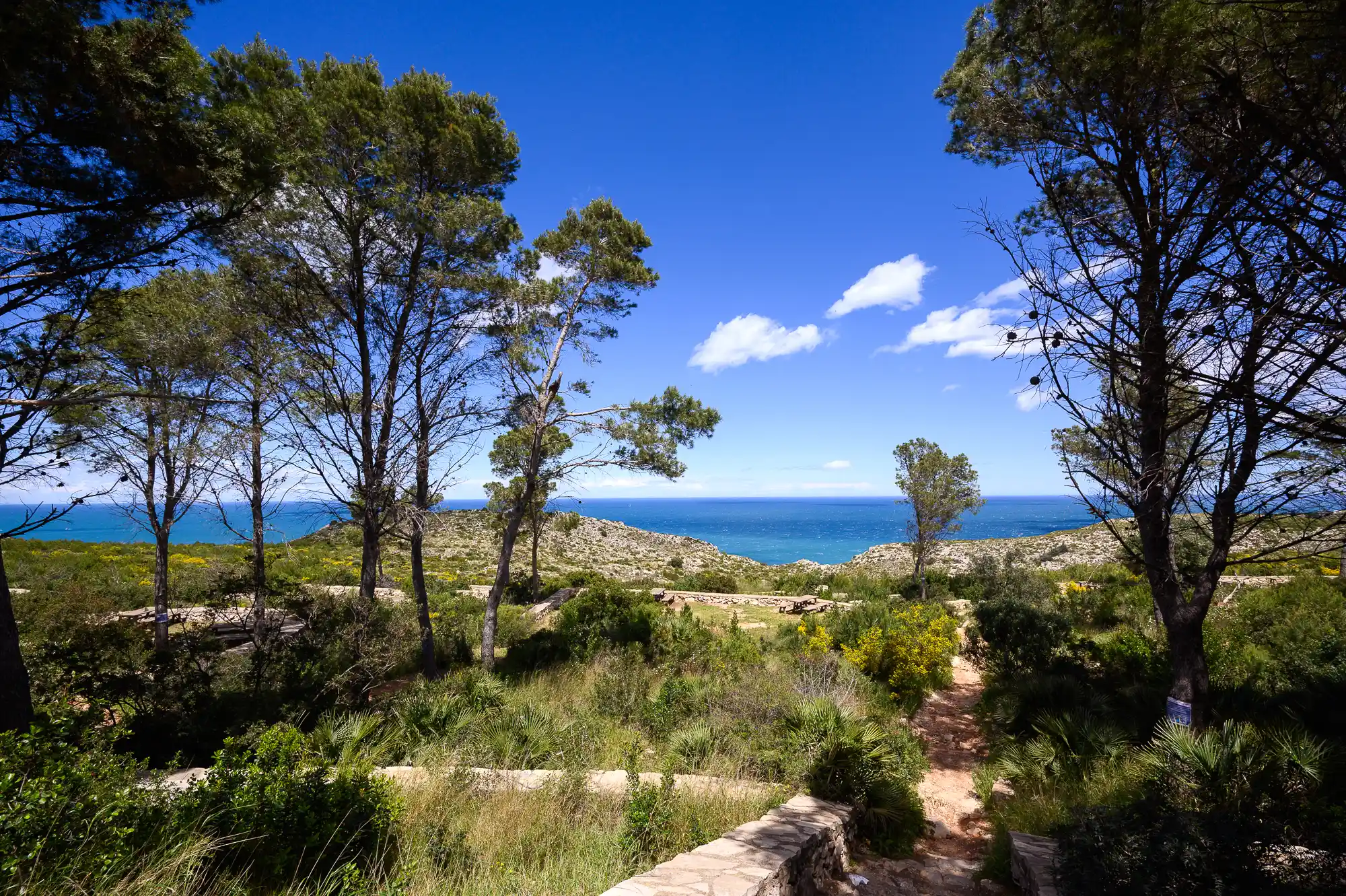 Planes of Denia