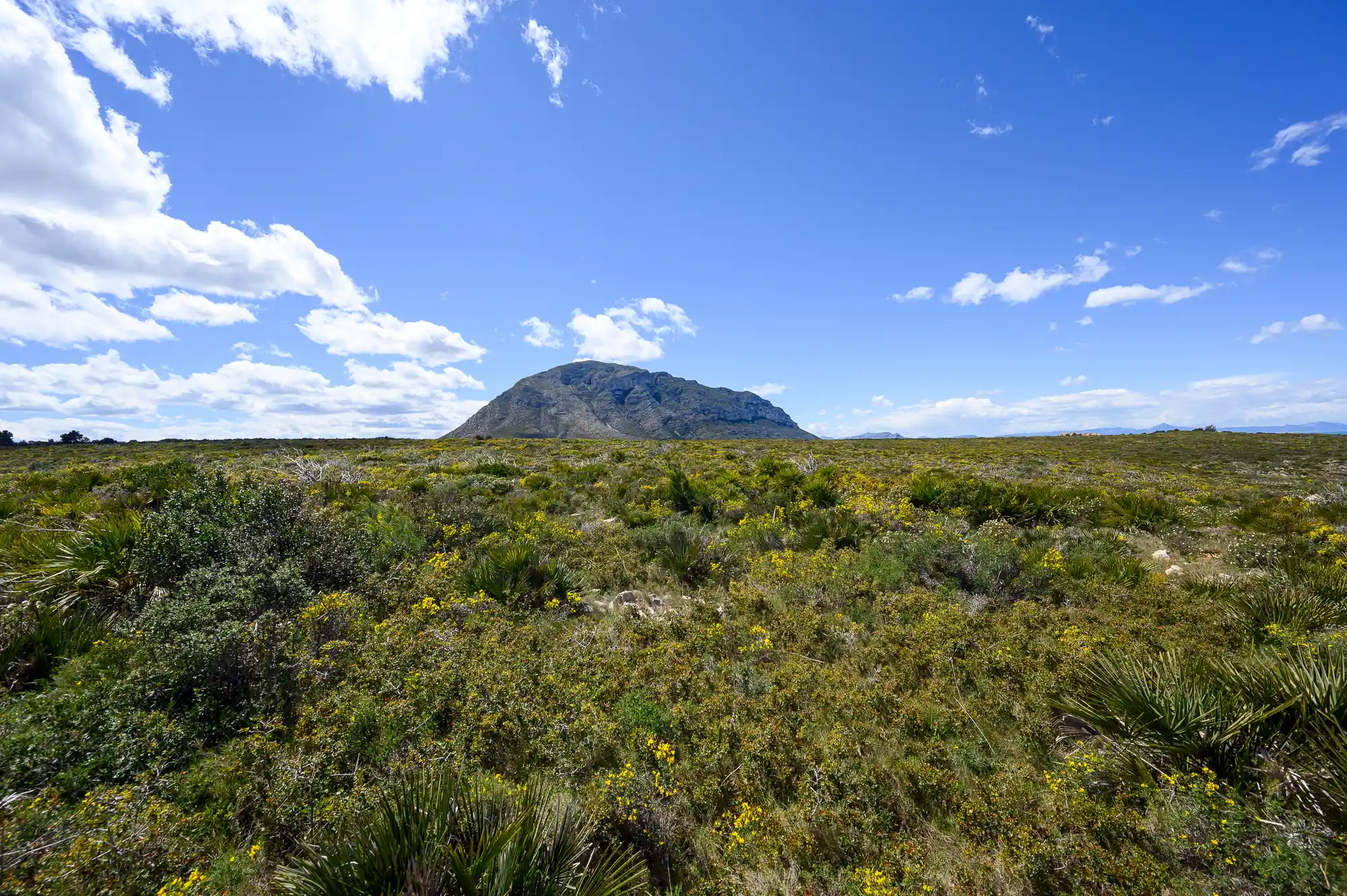 Little hill near Denia