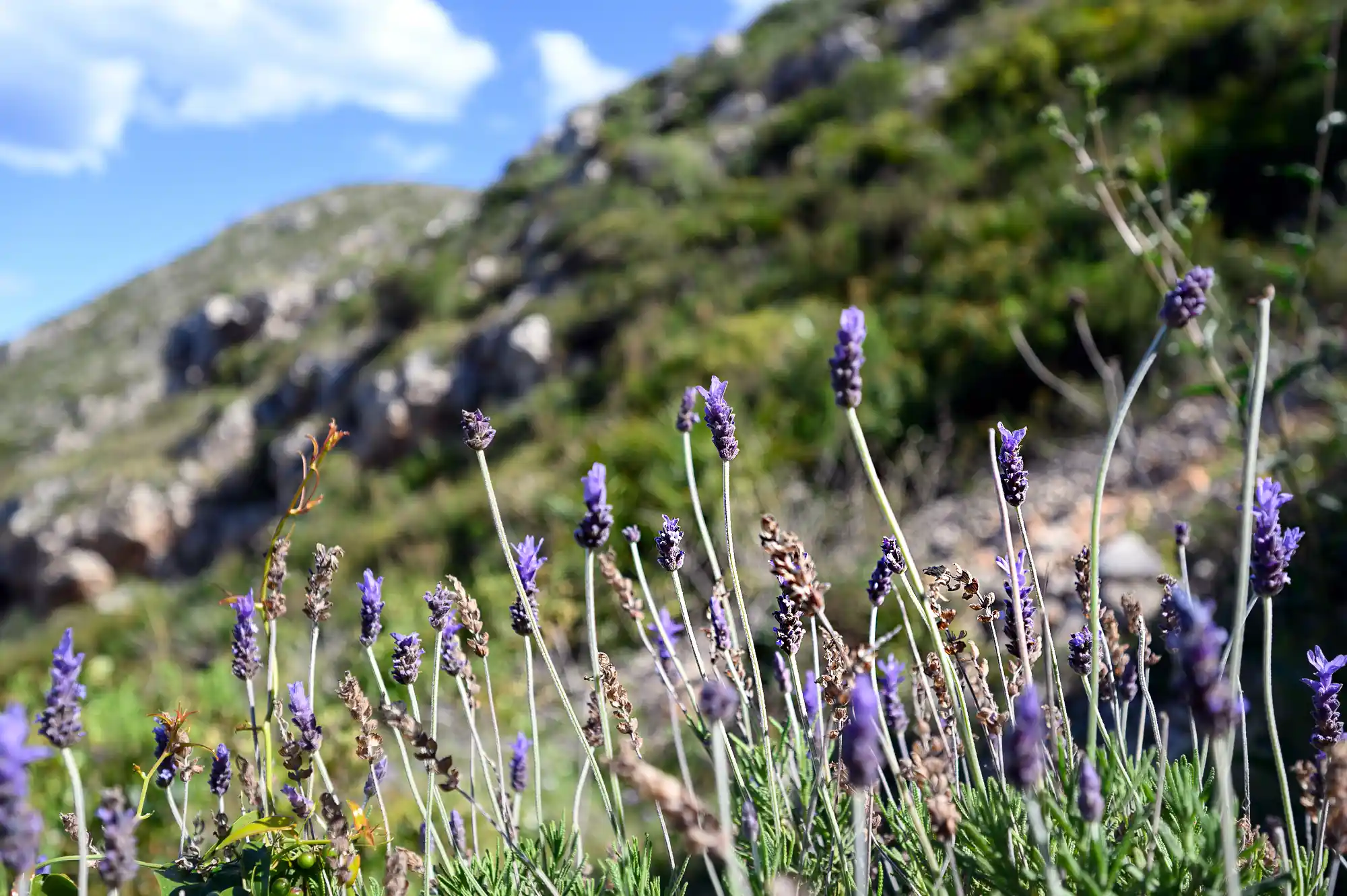 28-Cueva-Tallada-Valencia-Hike-DSC 5617