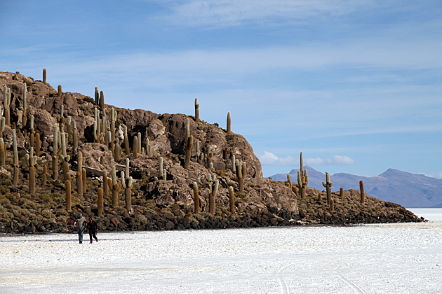 Incahuasi, the cactus island in Bolivia