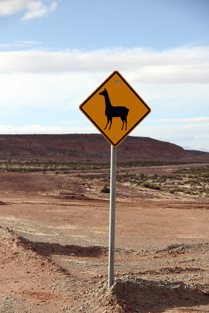 Llama Crossing Sign