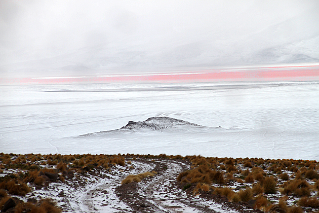 Pink Snow Storm Uyuni