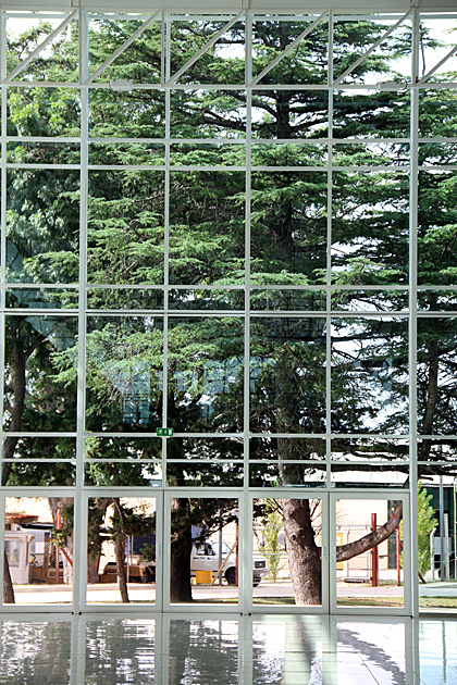 Modern Nature