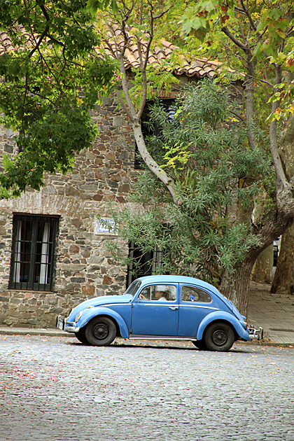 Old Bettle