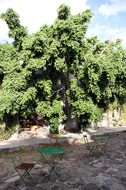 Tree Cafe