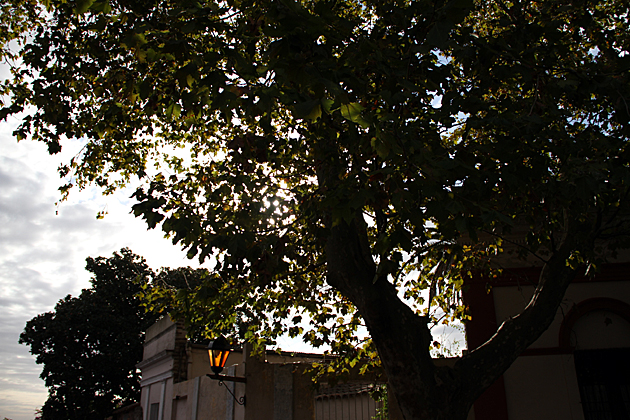 Uruguay Blog