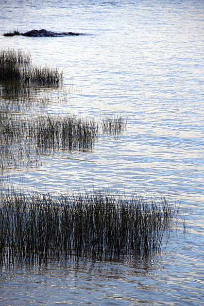 Water Element