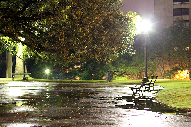 Buenos Aires Wet Nights