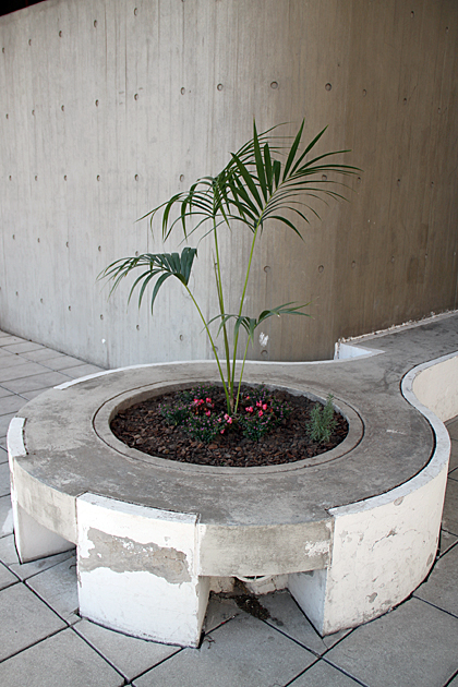 Modern Plants