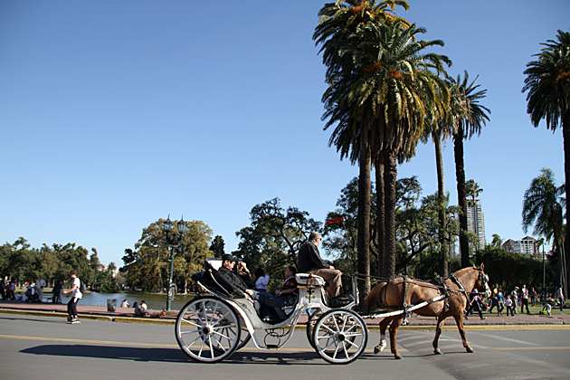 The Parks of Palermo 18 Palms Horse Ride