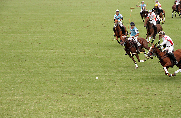 Crazy Horses