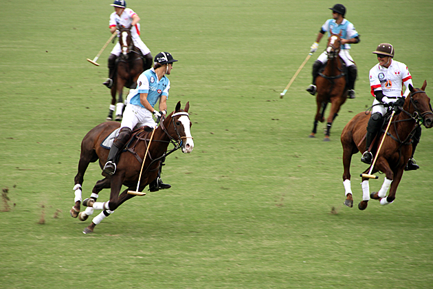 Fast Horse