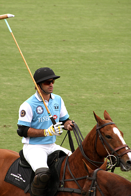 Polo Player