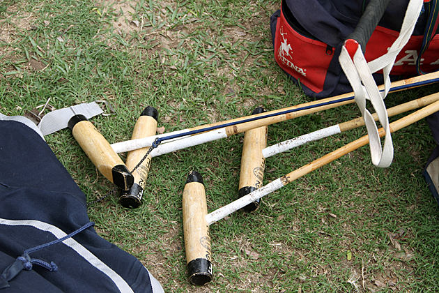 Polo Sticks