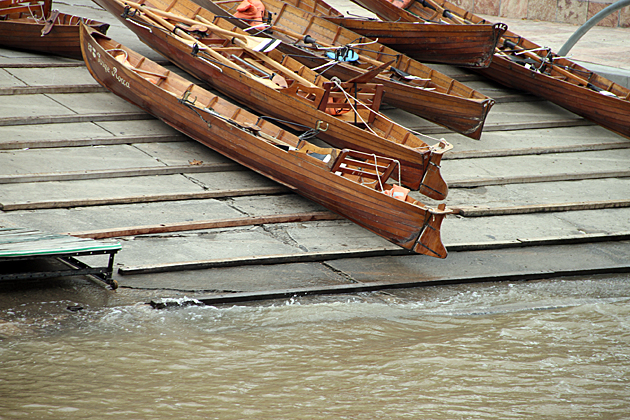 Rowing Tigre