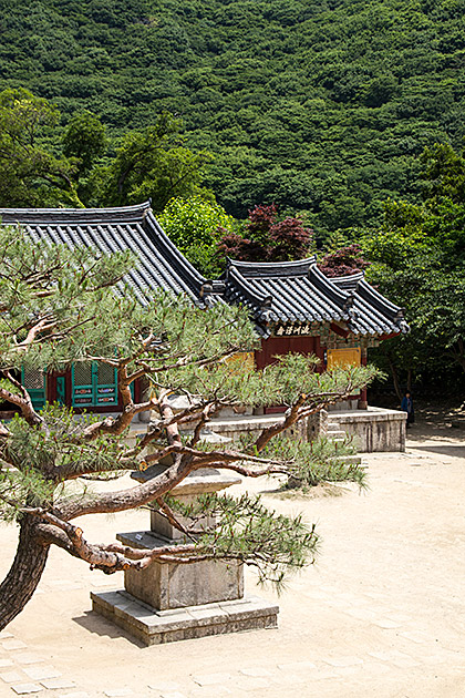 Busan Temple Stay