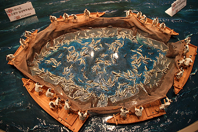 Mass Fishing Korea