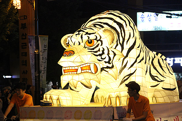 Angry White Tiger