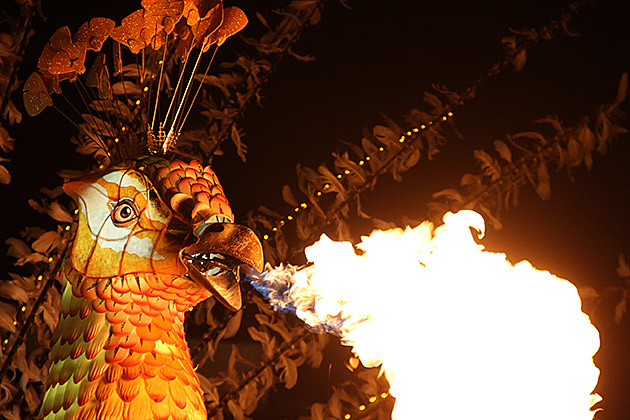 Fire Peacock