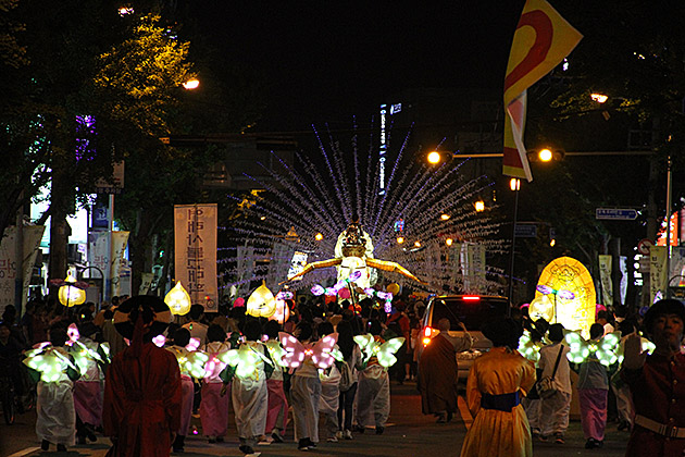 Korean Butter Fly