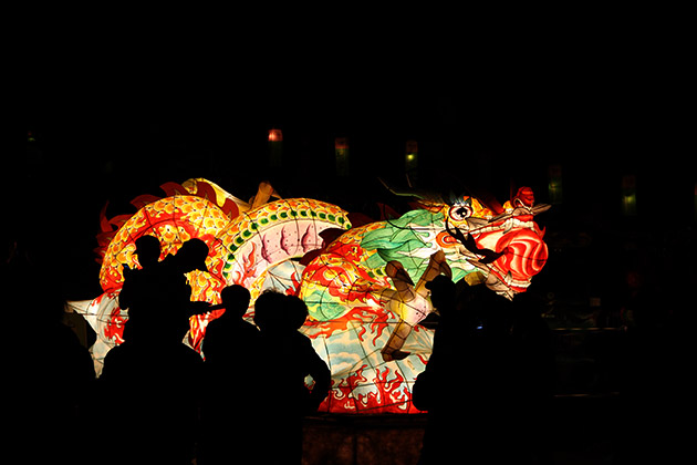 Lonely Dragon