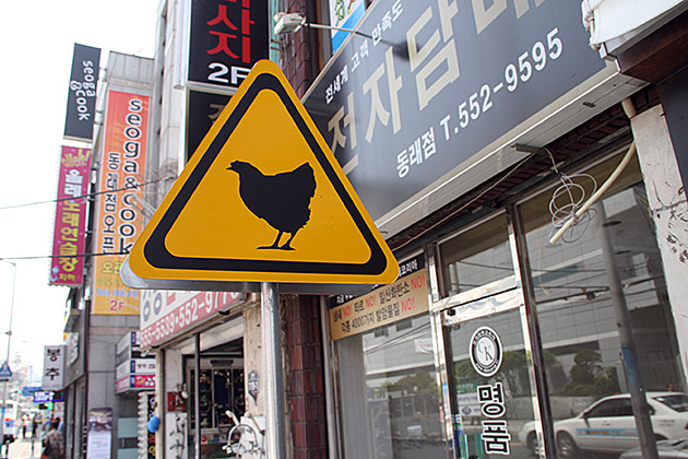 Chicken Warning Sign